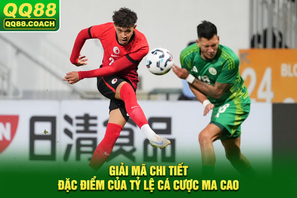 Giải mã chi tiết đặc điểm của tỷ lệ cá cược Ma Cao