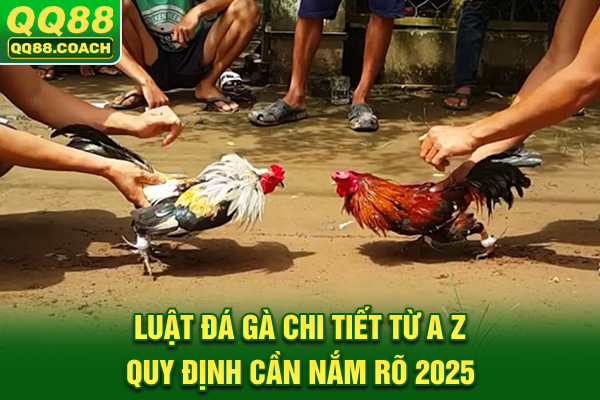 Luật Đá Gà Chi Tiết Từ A-Z: Quy Định Cần Nắm Rõ 2025